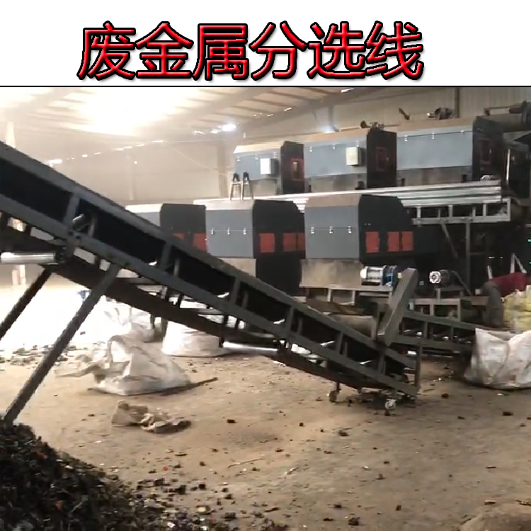 廢金屬分選整套流水線